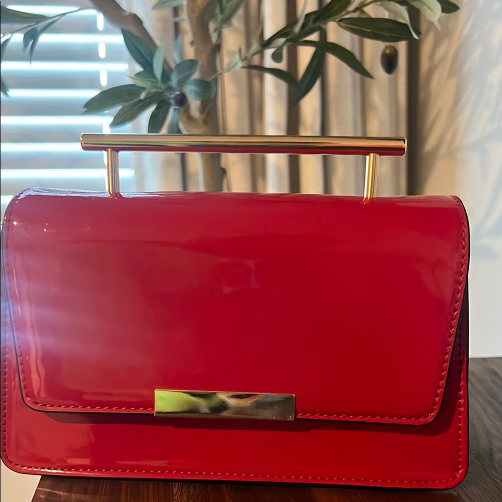 Aldo Crossbody Handbag